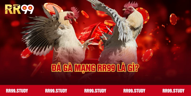 Tổng quan về bộ môn đá gà mạng RR99